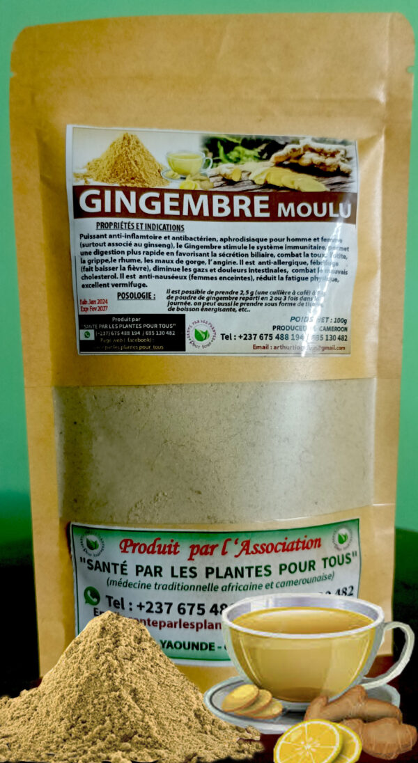 GINGEMBRE Moulu (100g)