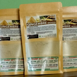 GINGEMBRE Moulu (100g)