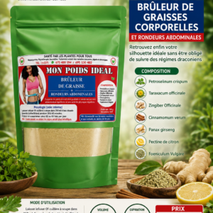 MON POIDS IDEAL
