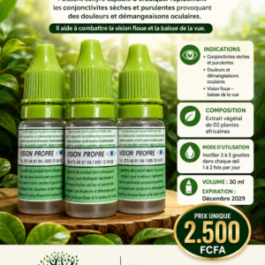 VISION PROPRE